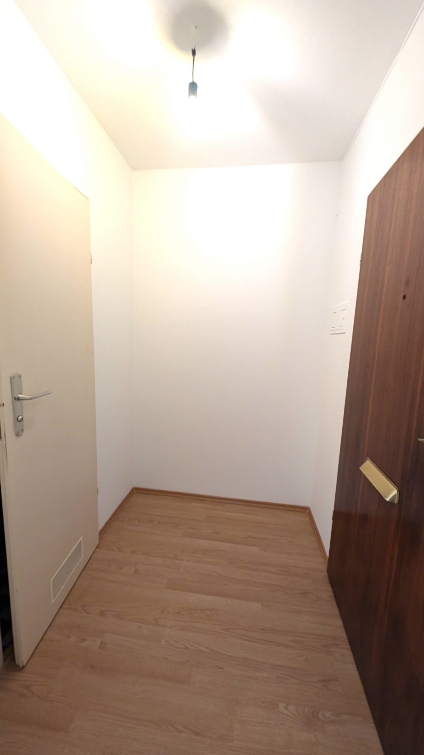 Hey Singles und Studierende – hier kommt eure Chance! — Bild 2