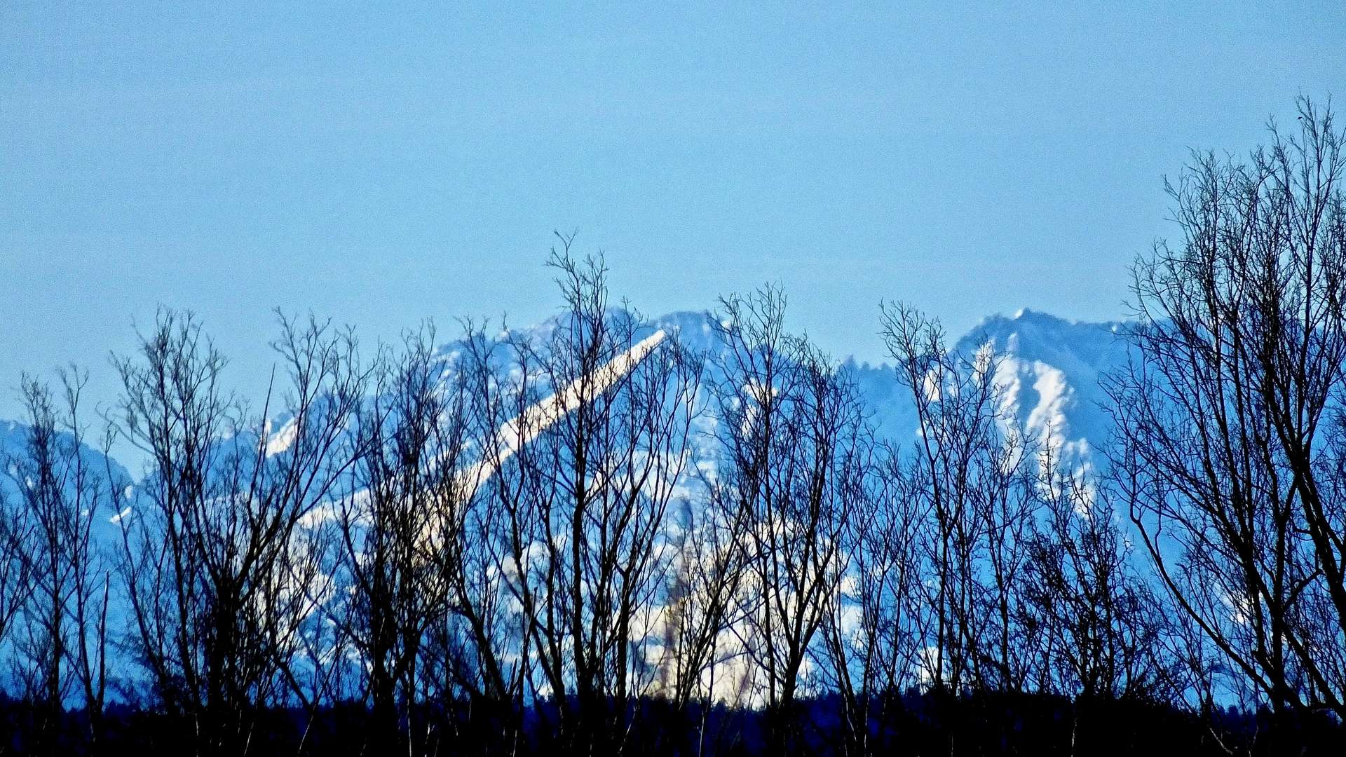 Alpenblick