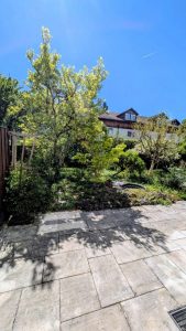 Blick in den Garten