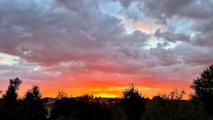 Blick vom Balkon